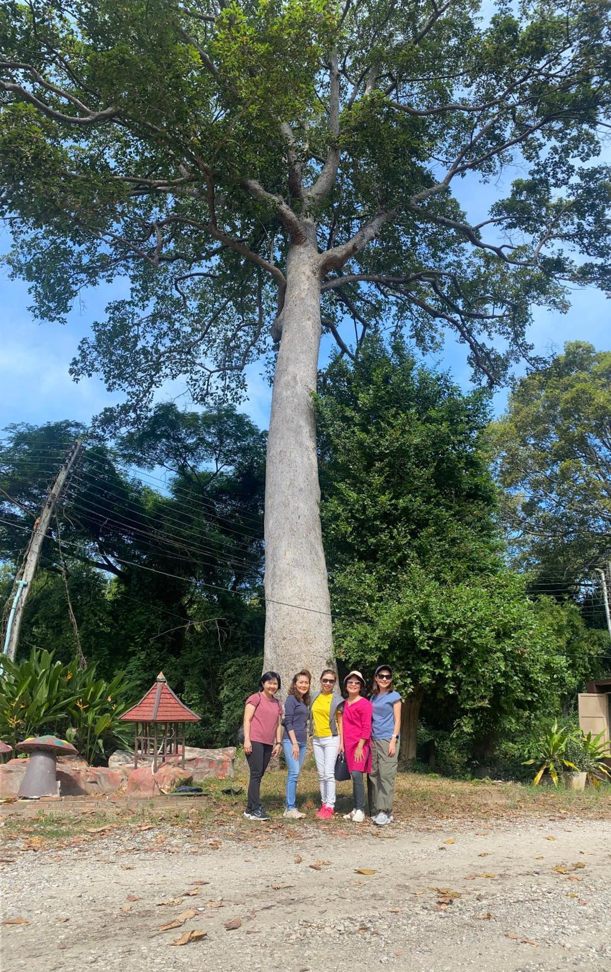 Payamai Resort Ban Nong Nam Khan Bagian luar foto